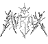 AVRAX.co